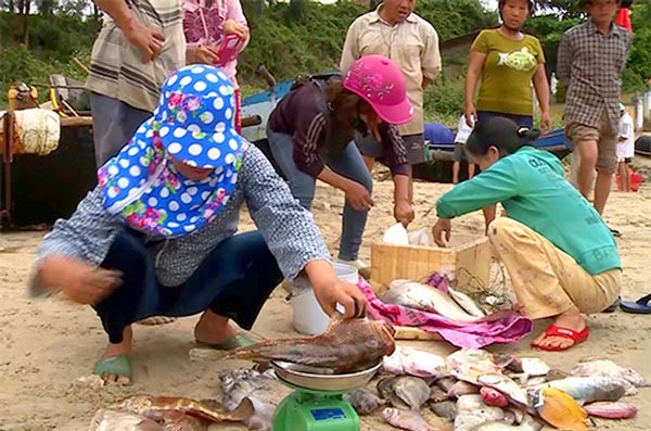 Local authority will issue harsh penalties on those who buy and sell dead fish (Photo: SGGP) Local authority will issue harsh penalties on those who buy and sell dead fish (Photo: SGGP)